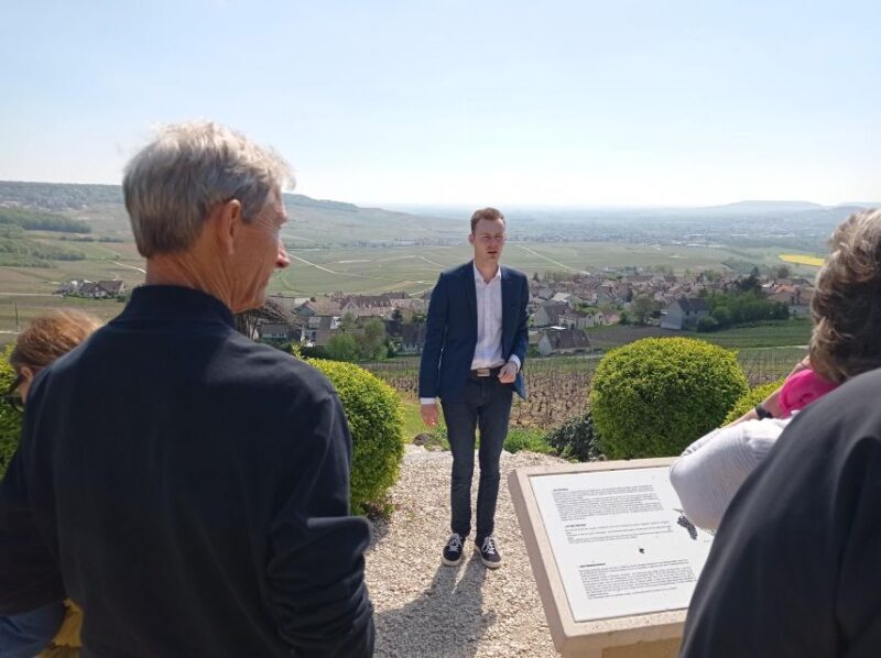 Reims/Epernay: Private Veuve Clicquot Champagne Tasting Tour - Potential Drawbacks and Considerations