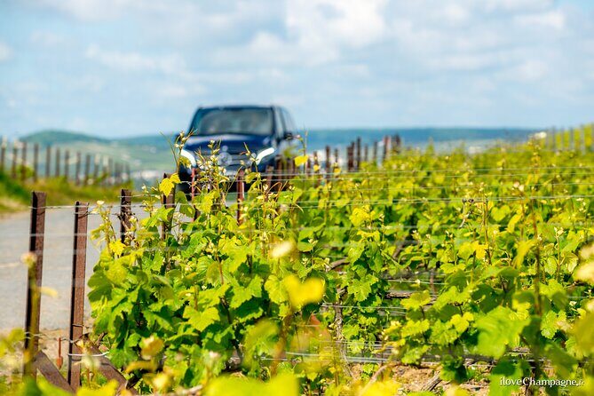 Reims or Epernay: Full day Champagne Mumm, family grower & lunch - FAQs