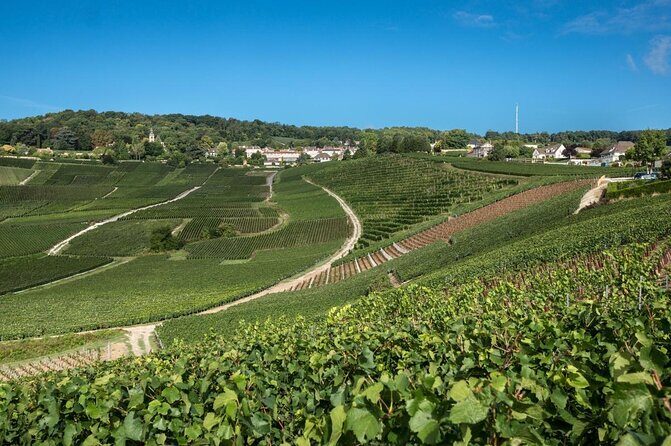 Reims: Small-Group Champagne Tour with Champagne Tastings and Lunch - Exploring the Full Experience: A Detailed Breakdown