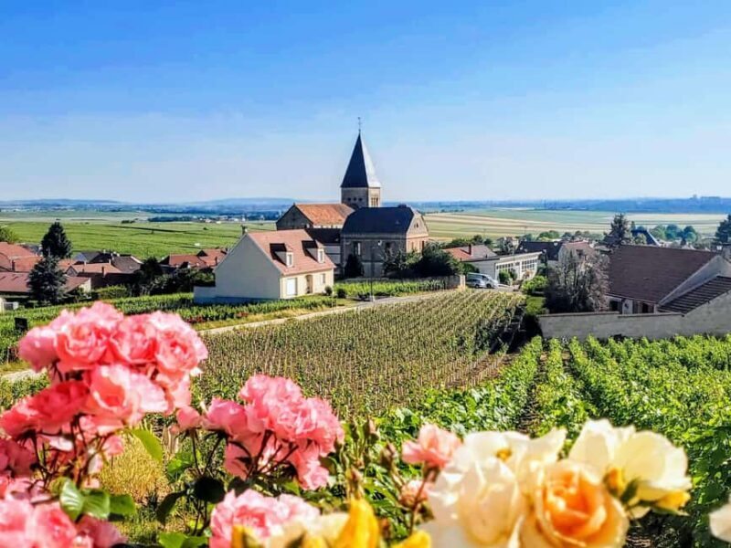 Reims: Veuve Clicquot Tasting Private Tour in Champagne - Practical Tips and Considerations