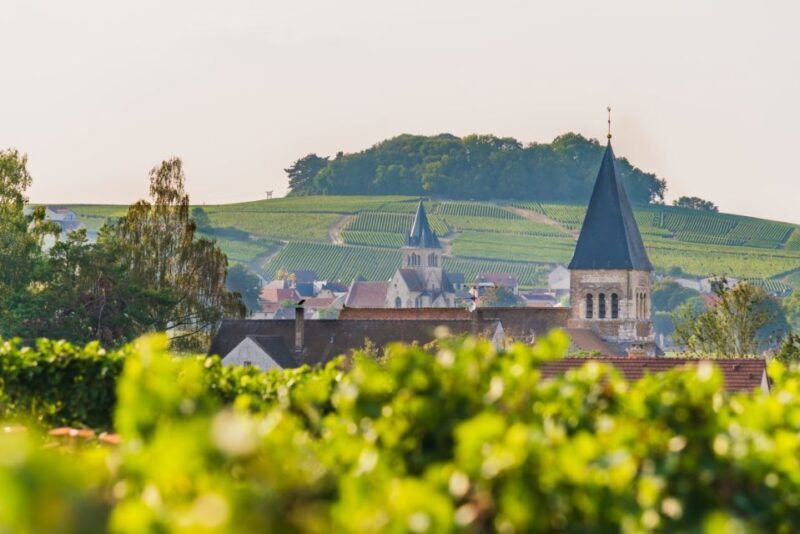 Reims: Veuve Clicquot Tasting Private Tour in Champagne - FAQs