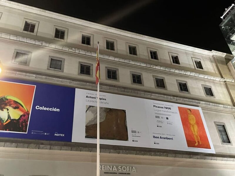 Reina Sofía Museum guided tour with ticket and skip the line - Exploring Madrid’s Reina Sofía Museum with a Guided Tour