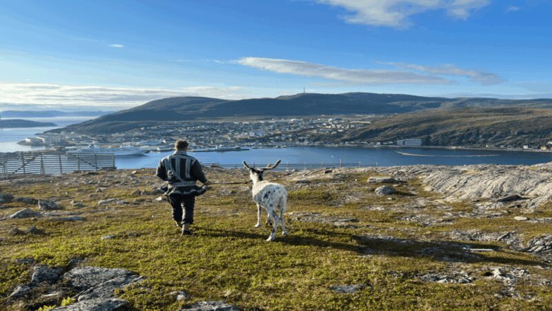 Reindeer and Stories: A Sami Cultural Adventure - Who Should Consider This Tour?