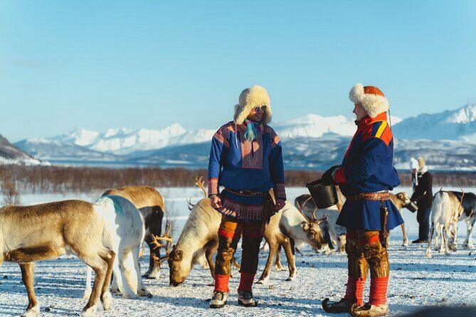 Reindeer Feeding and Sami Culture Afternoon Departure - Frequently Asked Questions