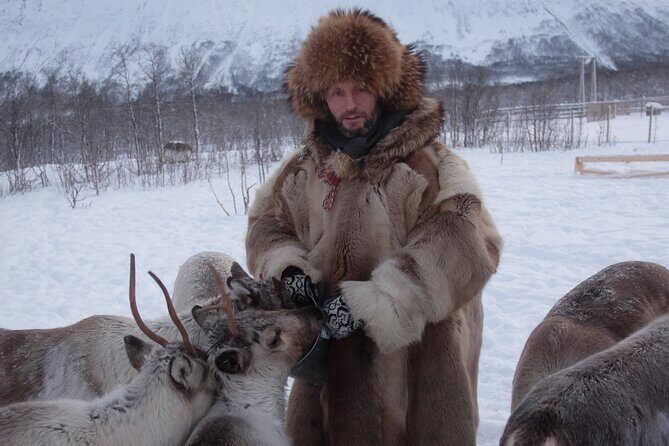 Reindeer feeding & Saami Culture - FAQs