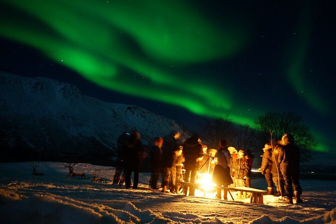 Reindeer feeding & Saami Culture with chance for Northern Lights - The Itinerary in Detail: What to Expect from Start to Finish