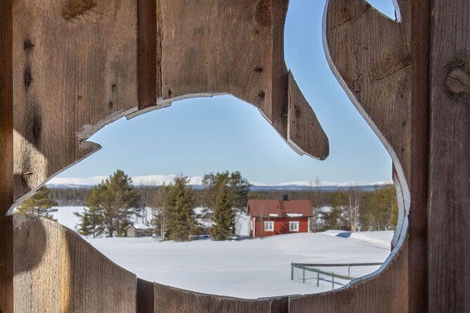 Reindeer Herding and a Snowmobile Slegh Ride - The Sum Up