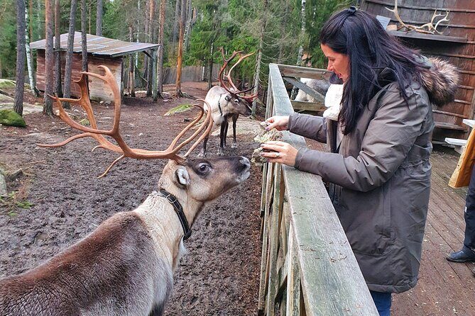 Reindeer Park Adventure - Frequently Asked Questions