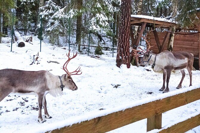 Reindeer Park Adventure VIP Car (private service) - Frequently Asked Questions