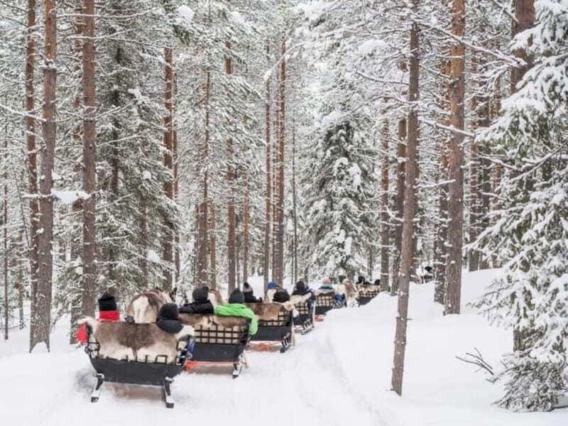 Reindeer Safari at a 200-Year-Old Farm & Long Sled Ride - Final Thoughts: Who Should Consider This Tour?