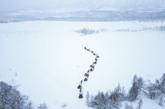 Reindeer Sledding and Feeding with Sami Culture in Tromso. - Reindeer Sledding and Feeding with Sami Culture in Tromsø: A Deep Dive