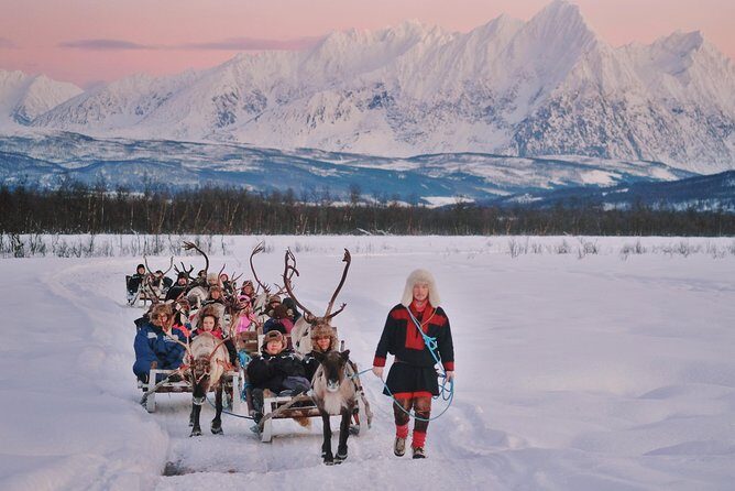 Reindeer Sledding and Feeding with Sami Culture in Tromso. - Who Is This Tour Best For?