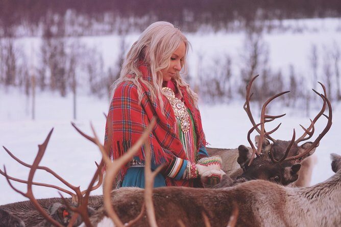 Reindeer Sledding and Feeding with Sami Culture in Tromso. - FAQs