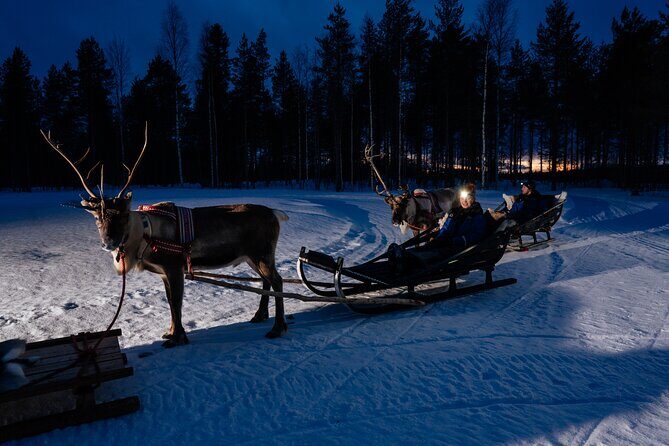 Reindeer sleigh ride across the night in Apukka Resort Rovaniemi - A Detailed Look at the Reindeer Sleigh Ride in Rovaniemi