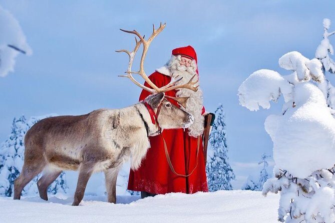 Reindeer Sleigh Ride and Farm Experience from Rovaniemi - An In-Depth Look at the Reindeer Farm and Sleigh Ride