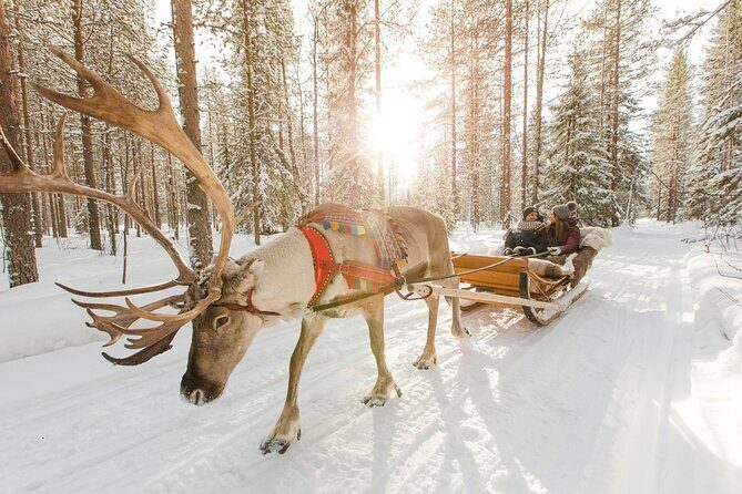 Reindeer Sleigh Ride and Farm Experience from Rovaniemi - Frequently Asked Questions