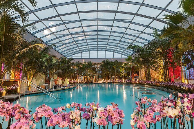 Relax and Fun at Thermal Spa Bucharest (Admission Ticket) - A Detailed Look at the Thermal Spa Experience