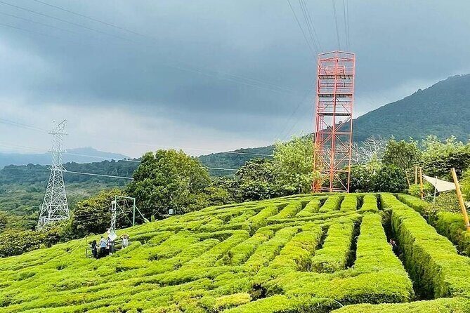 Relax and Have Fun at the Hot Spring and Albania Cafe - FAQs