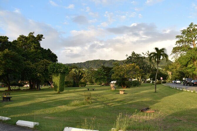 Relax in Hot Springs and swim in Titou Gorge and Trafalgar Falls - A Deeper Look at the Tour Experience