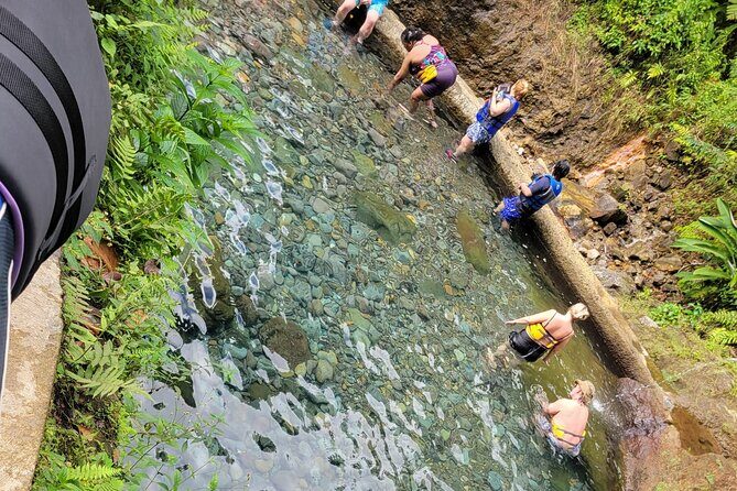 Relax in Hot Springs and swim in Titou Gorge and Trafalgar Falls - The Sum Up