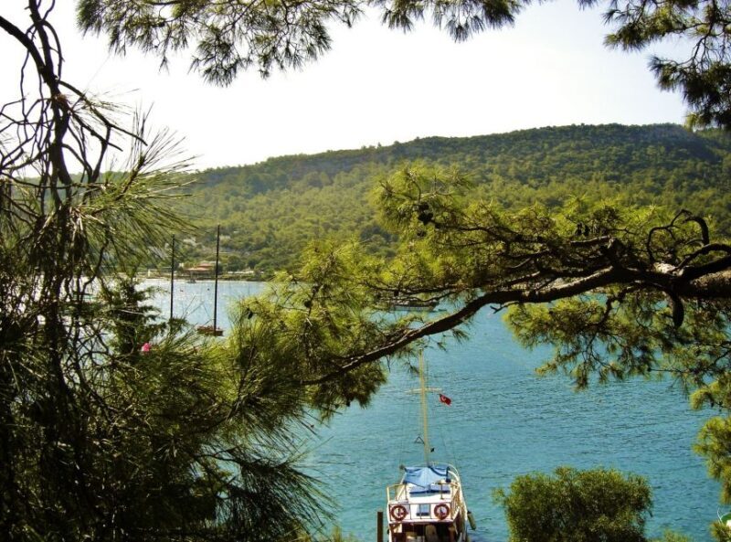 Relaxing Boat Trip with Lunch and Drinks - Key Points