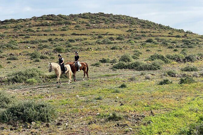 Relaxing Horse Riding Tour in Gran Canaria - FAQ: Your Practical Questions Answered