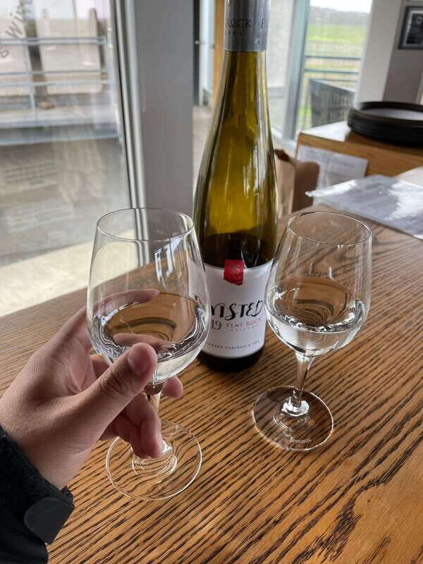 Relaxing Lunch & Wine Tour through Niagara's Wine Country - A Deep Dive into the Niagara Wine & Lunch Tour
