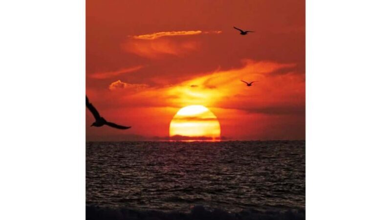 Relaxing Sunset/Evening Cruise in Newport Beach - Why This Cruise Offers Good Value