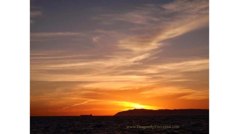 Relaxing Sunset/Evening Cruise in Newport Beach - Final Thoughts