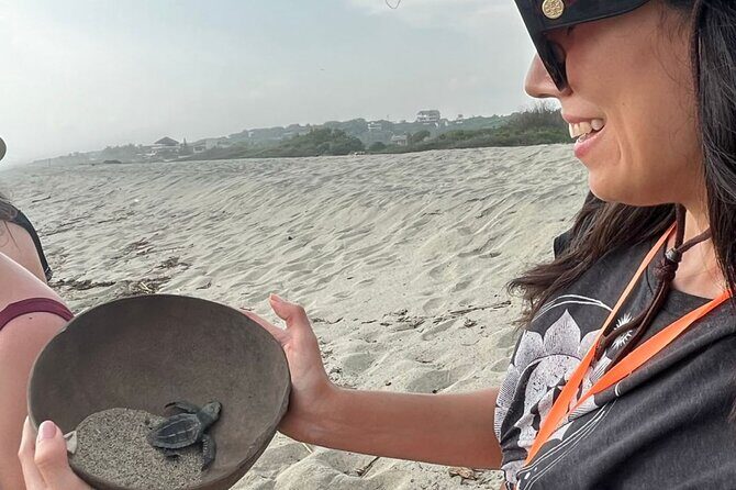 Release of Sea Turtles at Sunset - Who Should Consider This Tour?