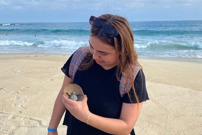 Release of Sea Turtles at Sunset - Final Thoughts