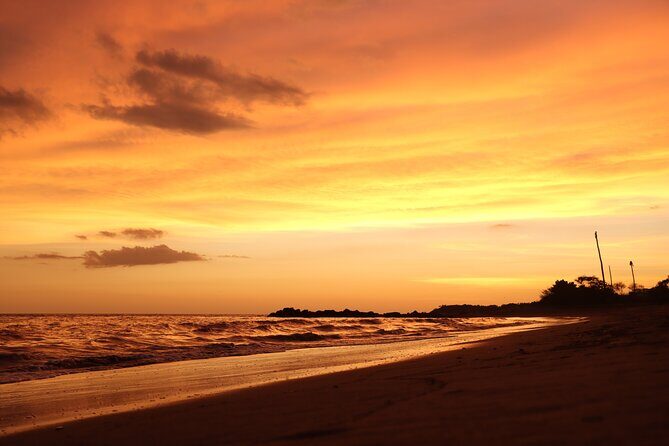 Release of Sea Turtles in Camp Tortuguero - Authenticity and Responsible Tourism