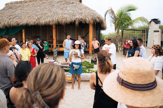 Releasing Turtles During the Sunset - Who This Tour Suits Best