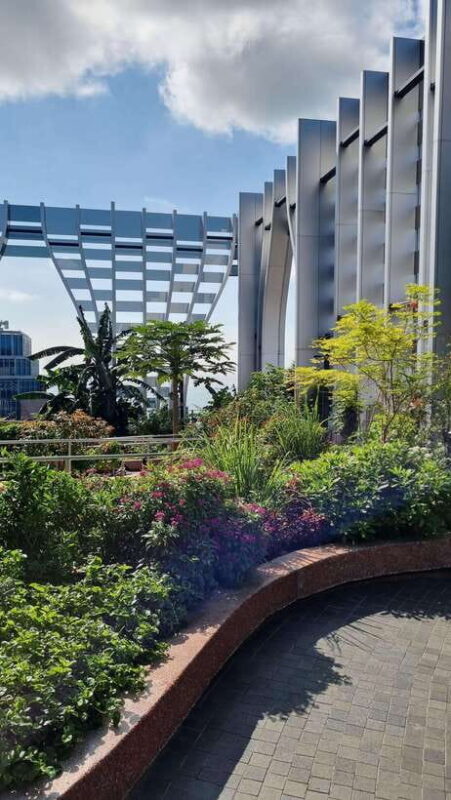 Relishing Singapore: A Cultural Street Food Journey - Key Points