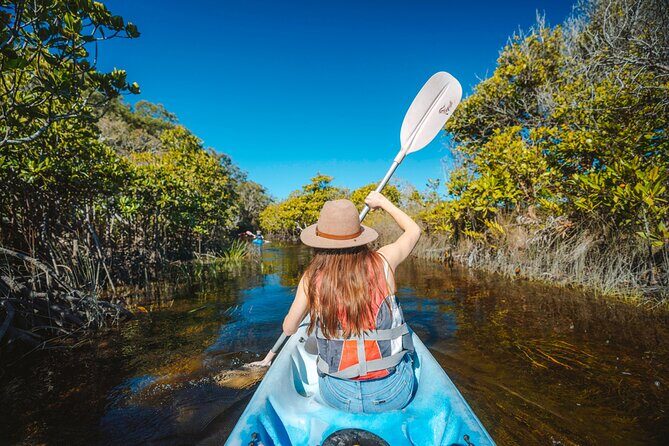 Remote Fraser Island Experience - Why We Think This Tour Is Worth It