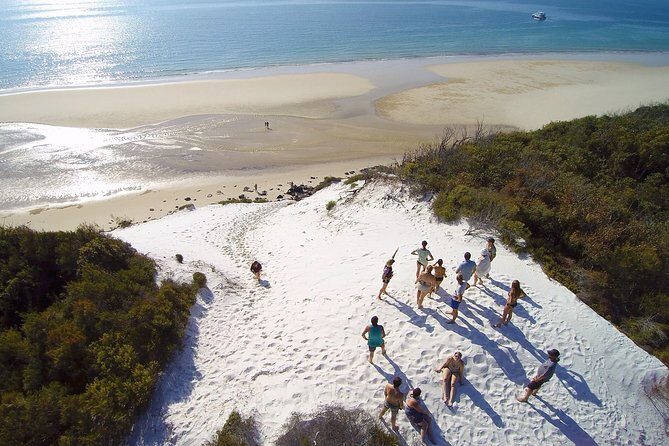 Remote K'gari (Fraser Island) & Whale Experience - Overview: What Makes This Tour Stand Out