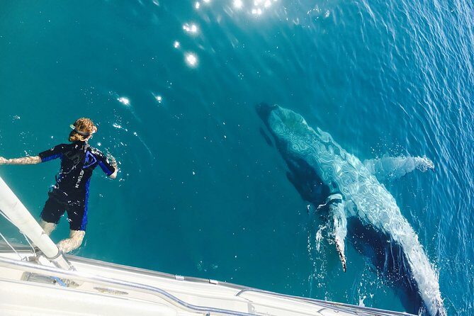 Remote K'gari (Fraser Island) & Whale Experience - Key Points