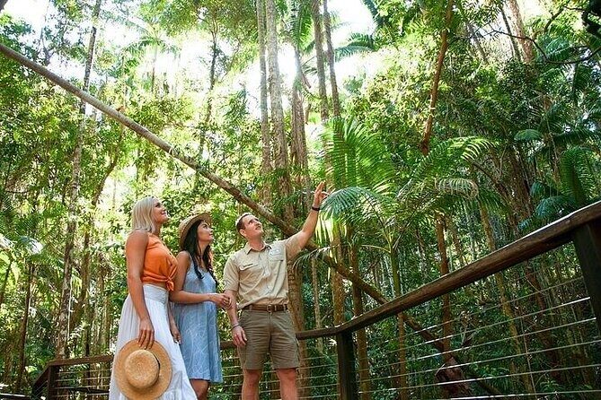 Remote K'gari (Fraser Island) & Whale Experience - The Sum Up: Who Is This Tour Perfect For?