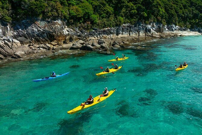 Remote Marine Reserve - Guided Kayaking - New Zealand - An In-Depth Look at the Guided Kayaking Tour in Abel Tasman