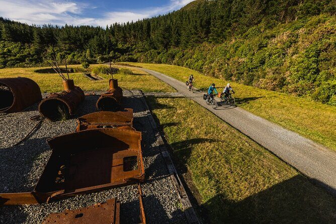 Remutaka Rail Trail Explorer - eBike Cruise Ship Shore Excursion - Final Thoughts