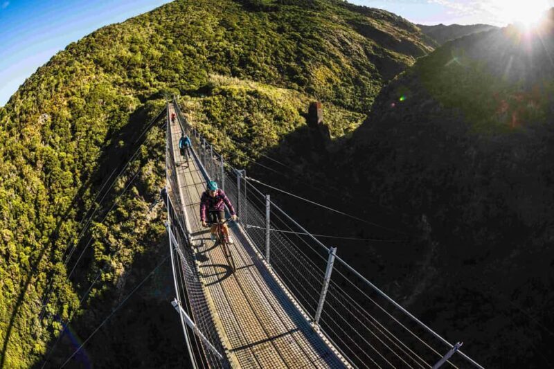 Remutaka Rail Trail Mountain Bike Explorer - Exploring the Itinerary in Detail