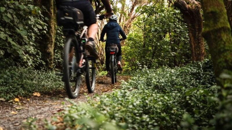 Remutaka Rail Trail Mountain Bike Explorer - Final Thoughts