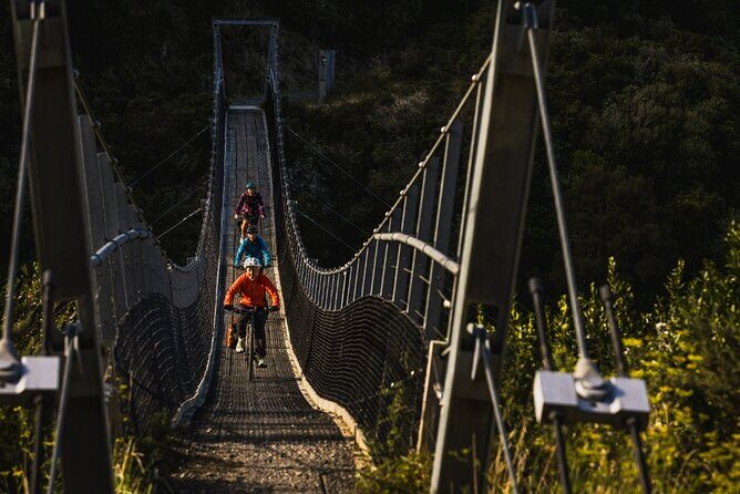 Remutaka Rail Trail- Wellington eBike Cruise Ship Shore Excursion - Summing It Up: Who Is This Tour Best For?