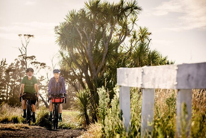 Remutaka Rail Trail- Wellington eBike Cruise Ship Shore Excursion - Additional Resources