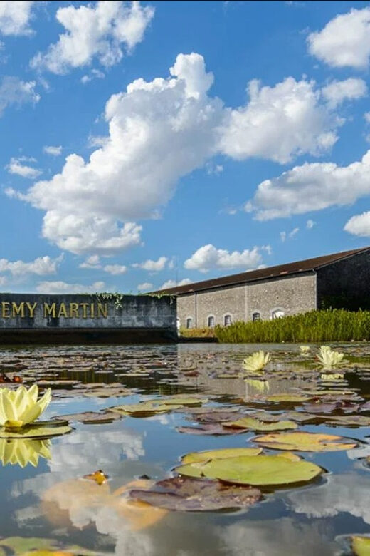 Rémy Martin Discover the production site by train - What Reviewers Say