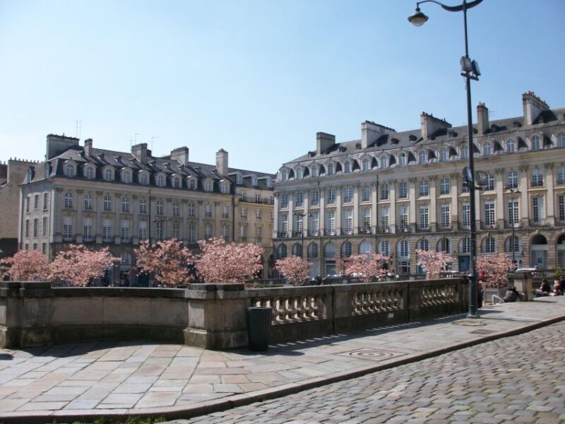 Rennes: Private Guided Walking Tour - Practical Tips for Your Rennes Tour