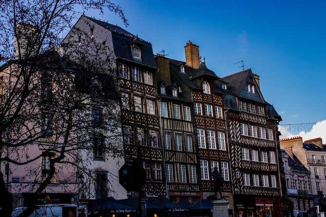 Rennes Private Walking Tour With A Professional Guide - Who Will Appreciate This Tour?