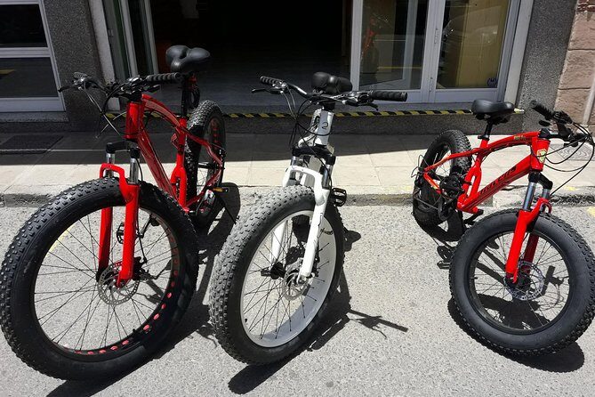 Rent A Bike (electric & Normal) Corralejo - Key Points