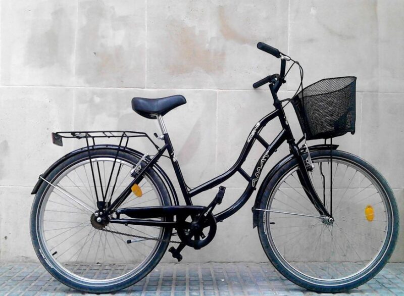 Rent a bike in Malaga - Exploring Málaga on Two Wheels: What to Expect