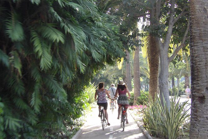 Rent a City Bike: Full Day 24 hours - Authentic Insights from Past Riders